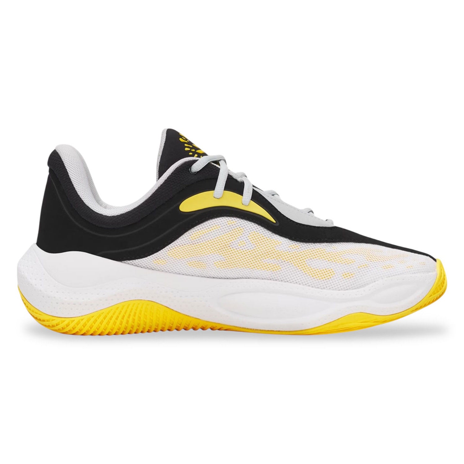 Curry Splash 25 Black