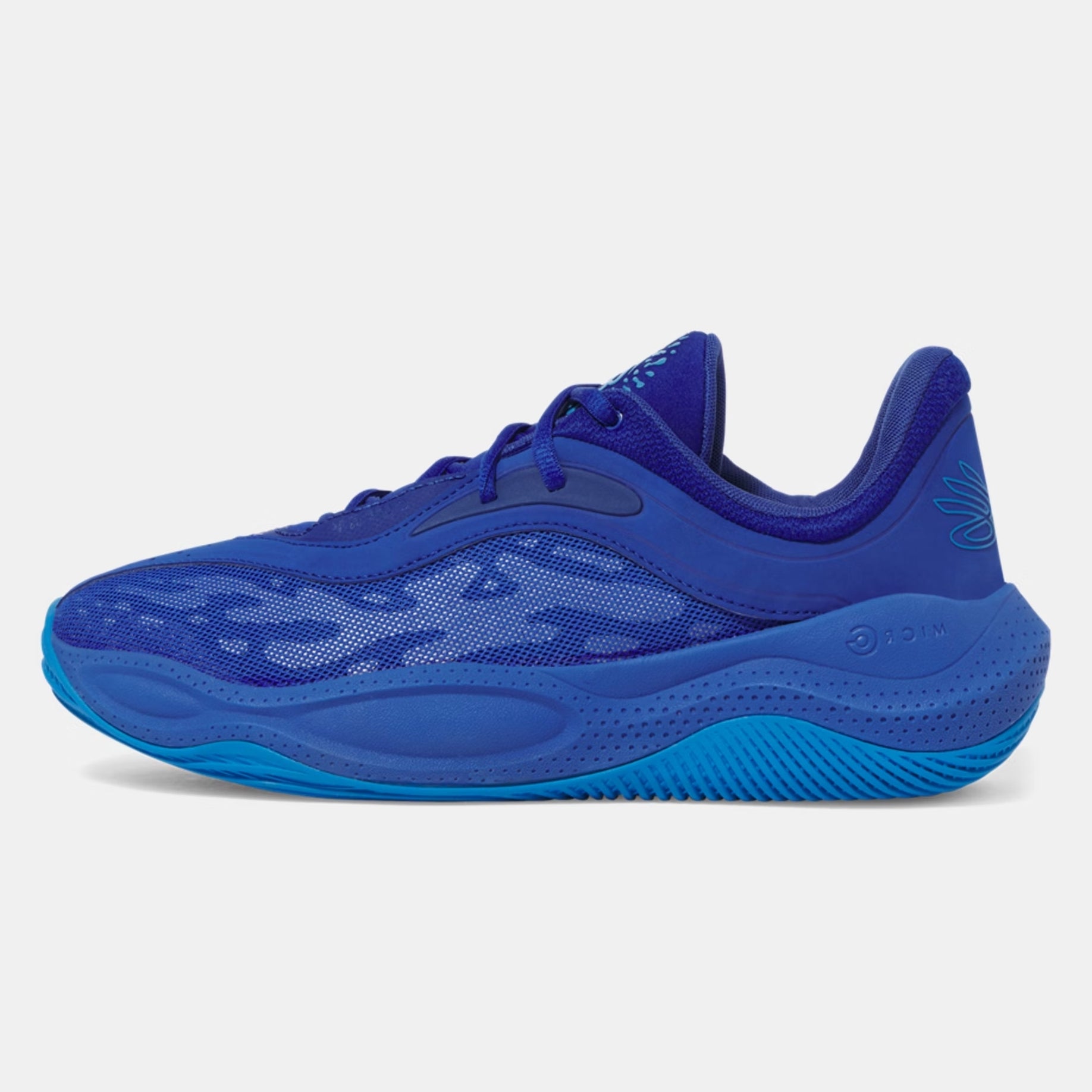 Curry Splash 25 - Cobalt Legacy