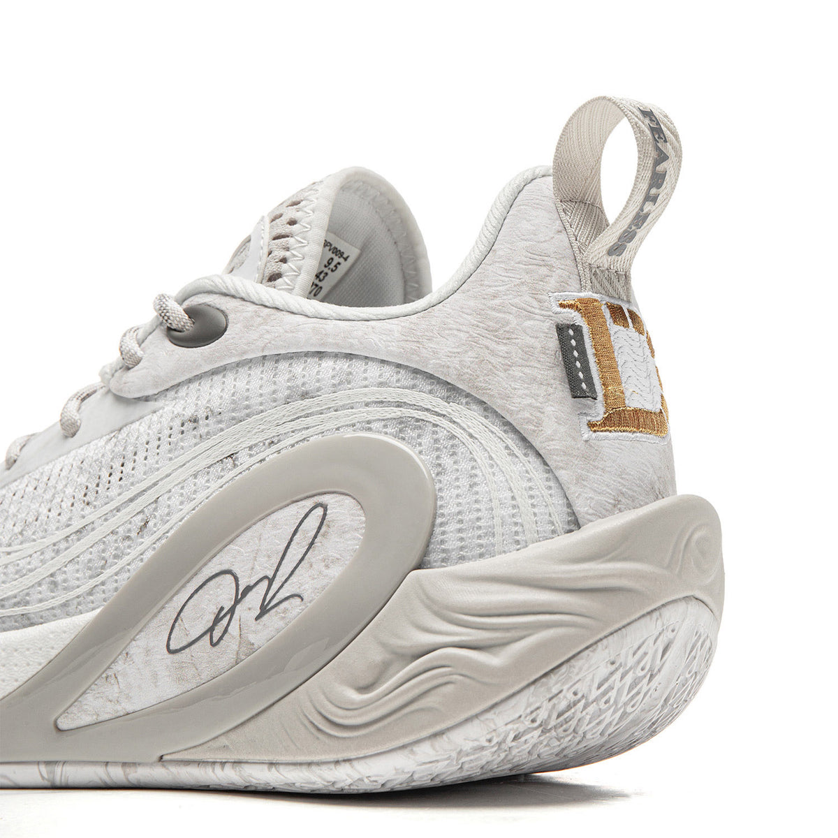 DLO 1 Lunar Rock