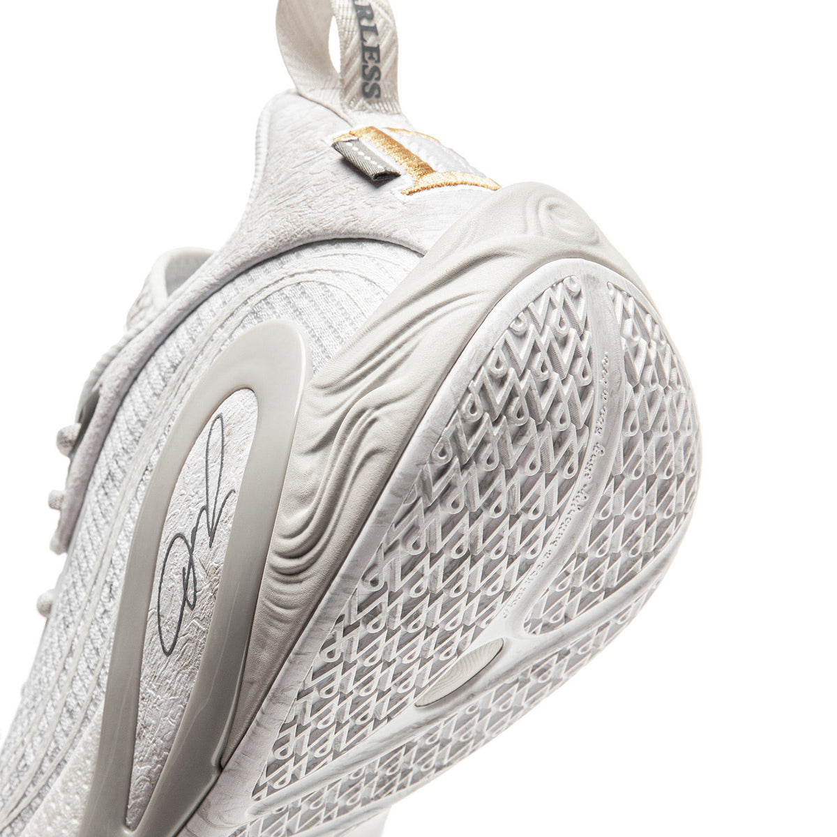 DLO 1 Lunar Rock