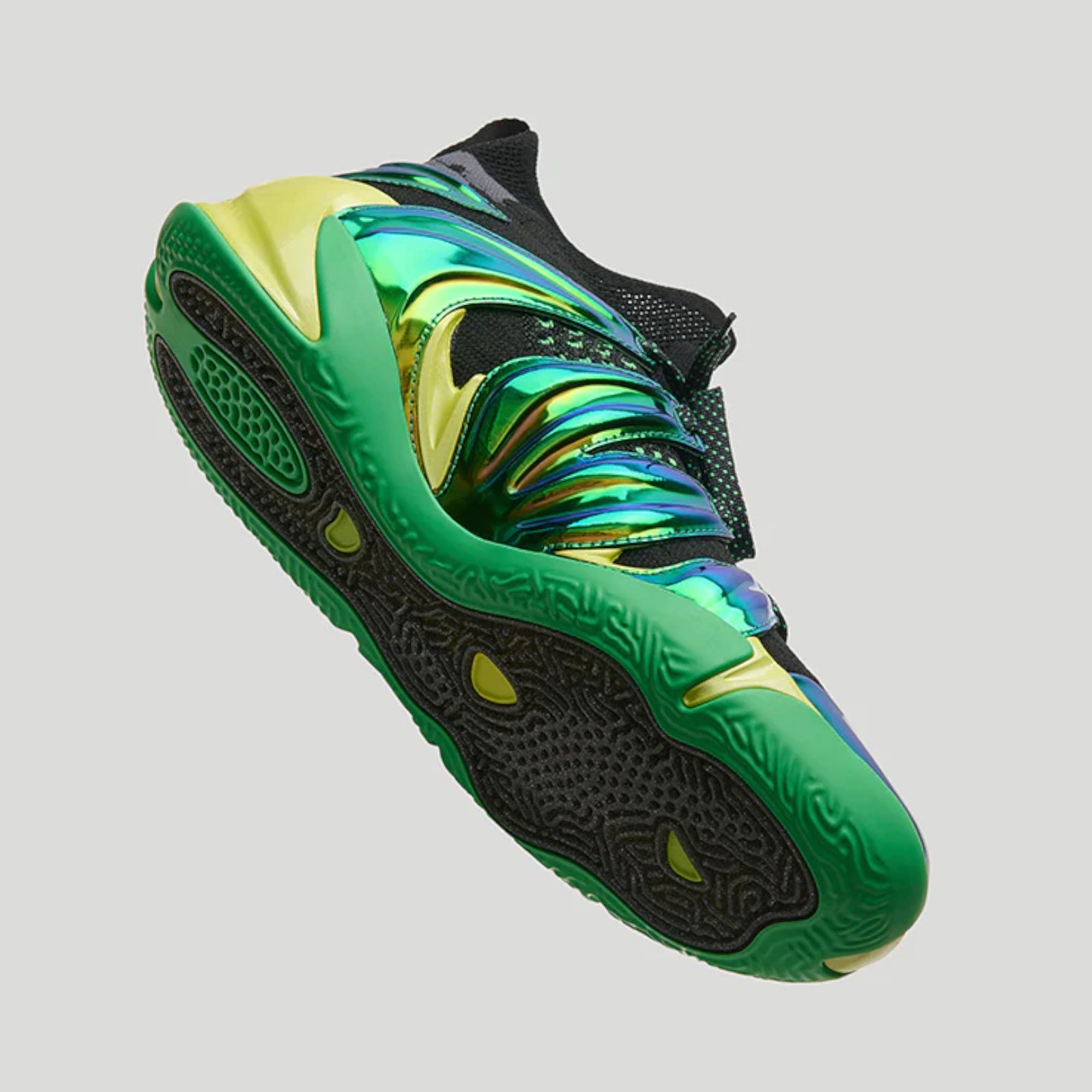 360 Nate Robinson