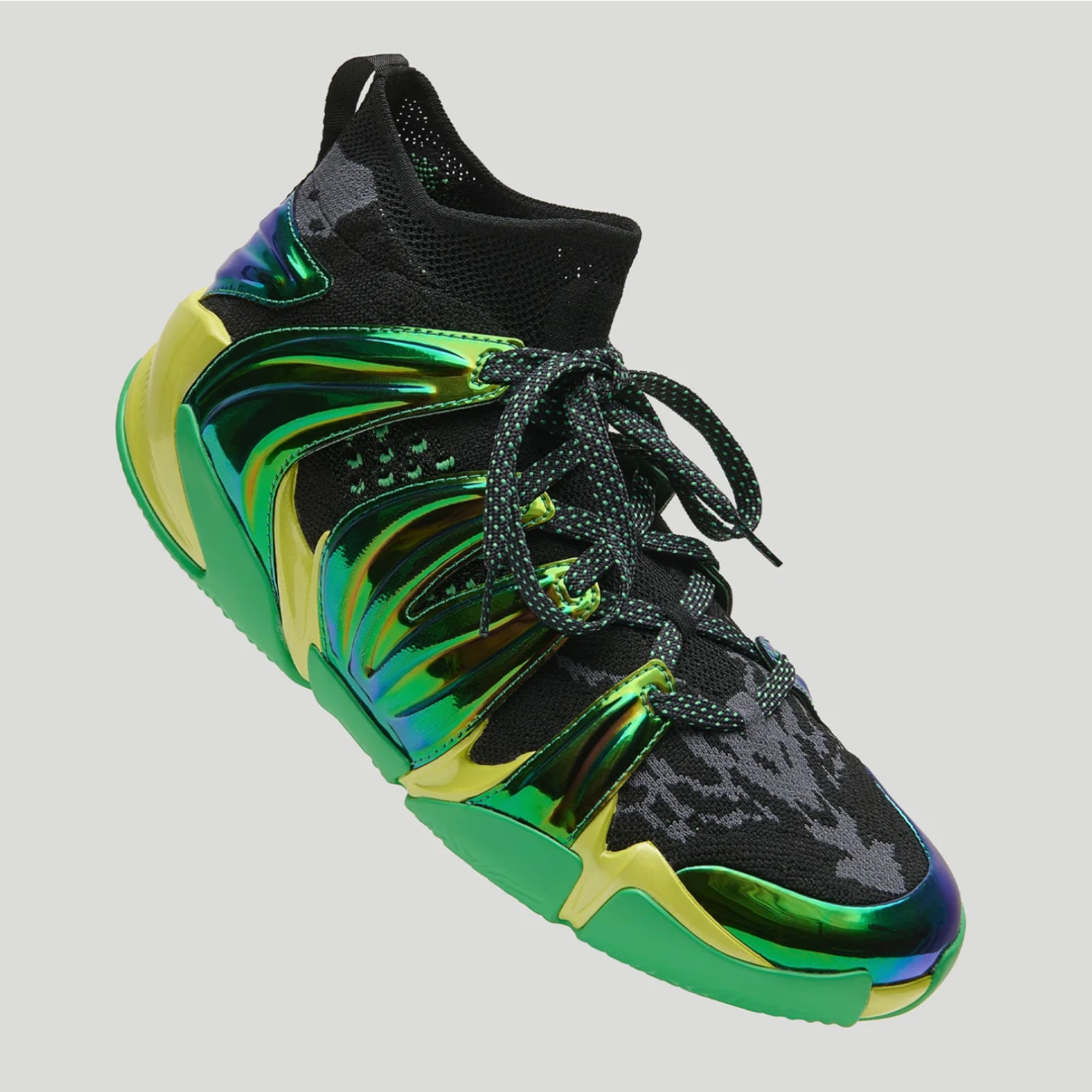 360 Nate Robinson
