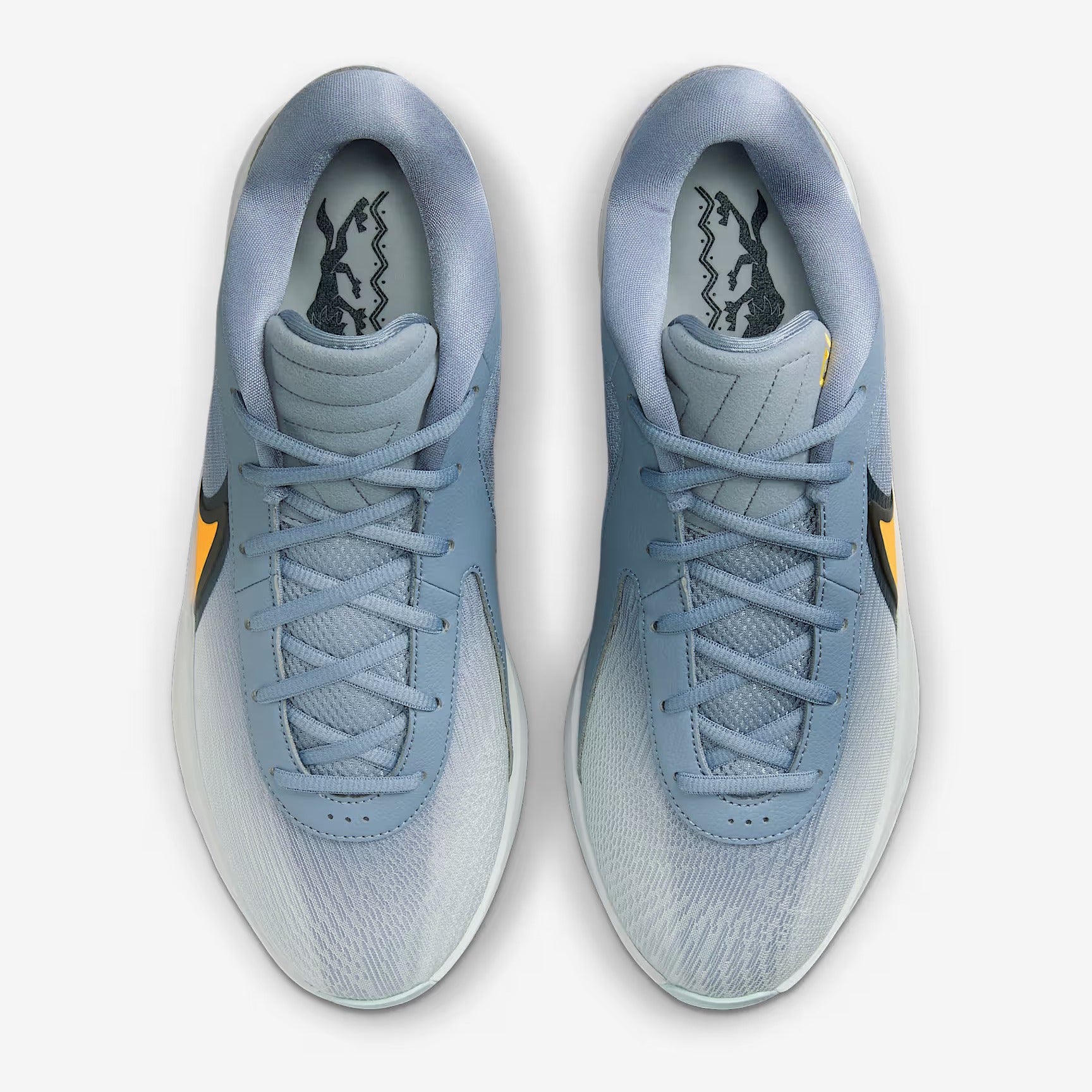 Zoom Freak 6