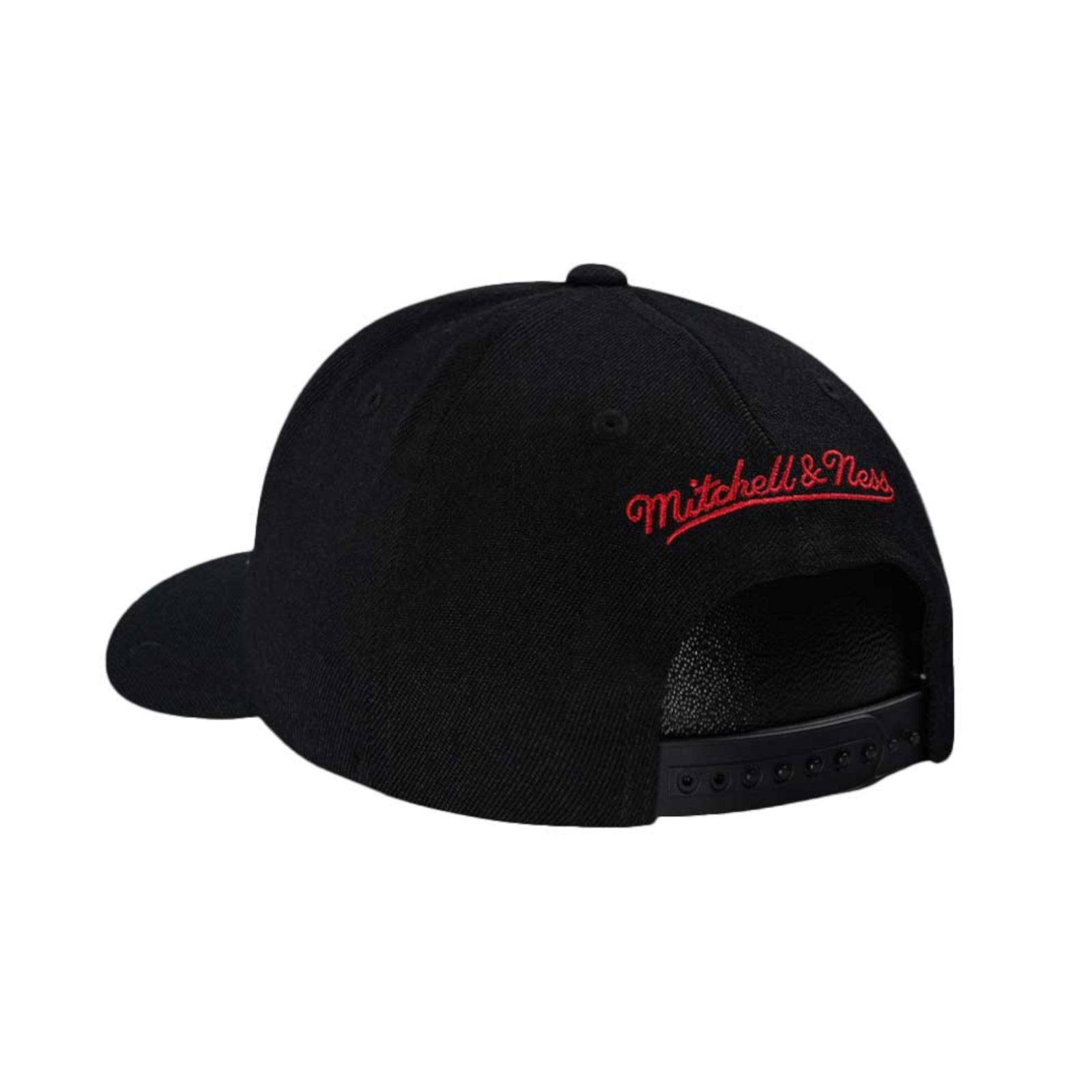 NBA Team Logo HC CR Snapback Toronto Raptors