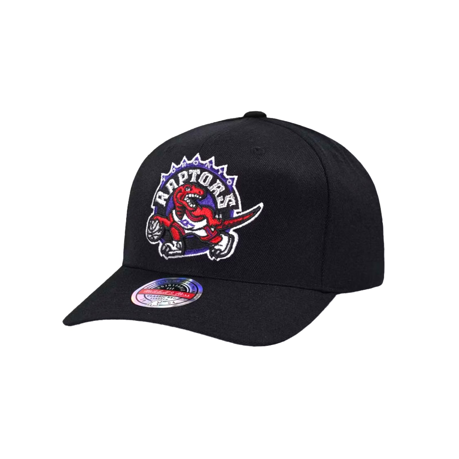 NBA Team Logo HC CR Snapback Toronto Raptors