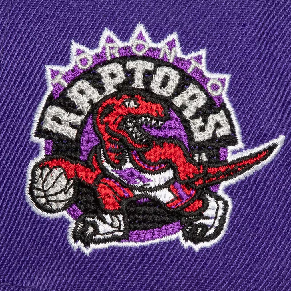 NBA Chain Gang Pro Snapback Toronto Raptors