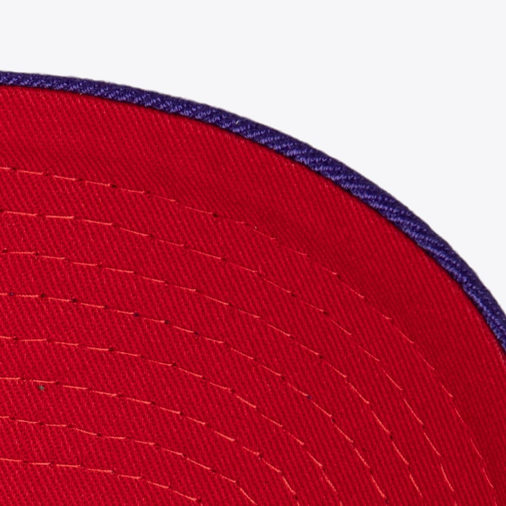 NBA Chain Gang Pro Snapback Toronto Raptors