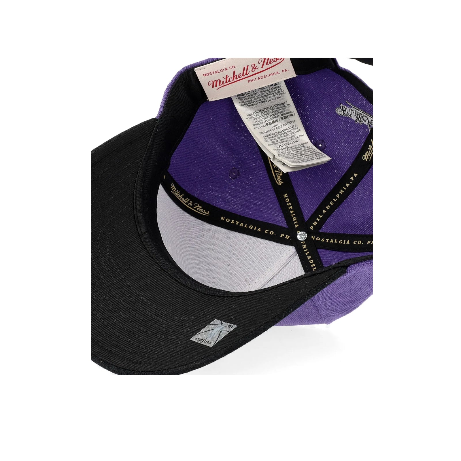 Team Colour Logo NBA Pro Crown Toronto Raptors