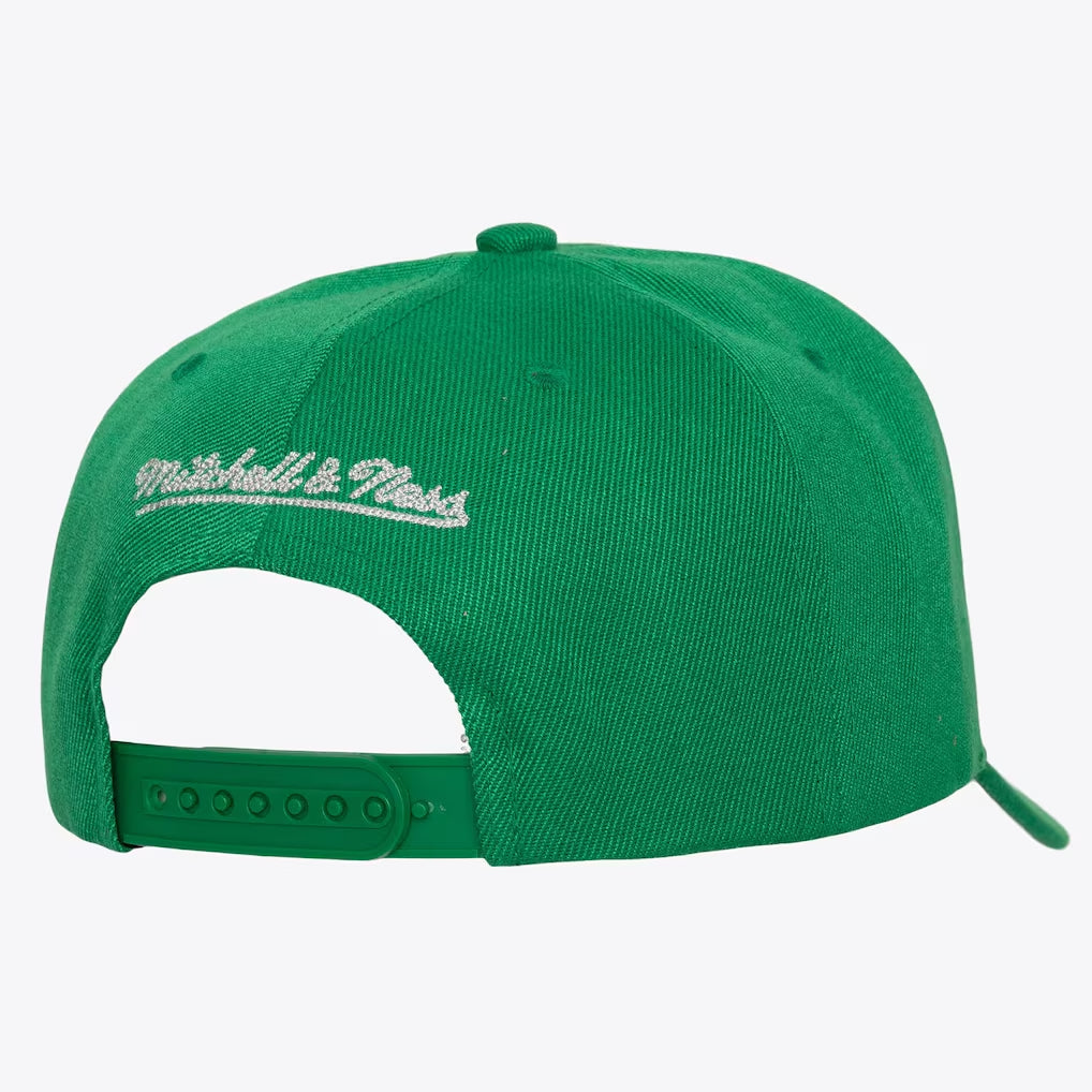 NBA Chain Gang Pro Snapback Boston Celtics