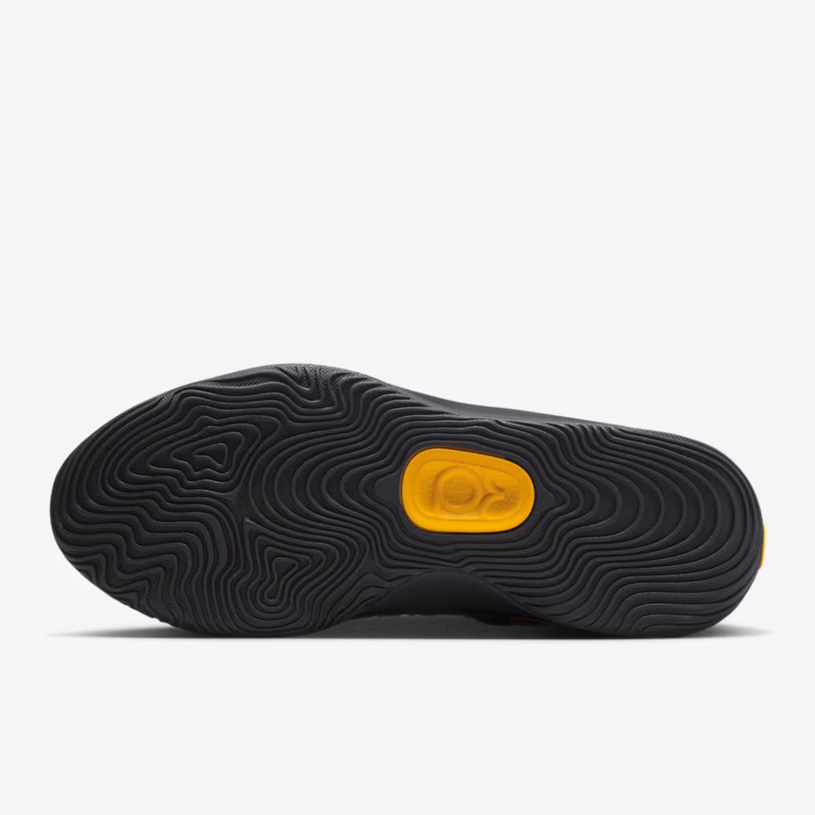 KD 18 New Dawn aka Rain City