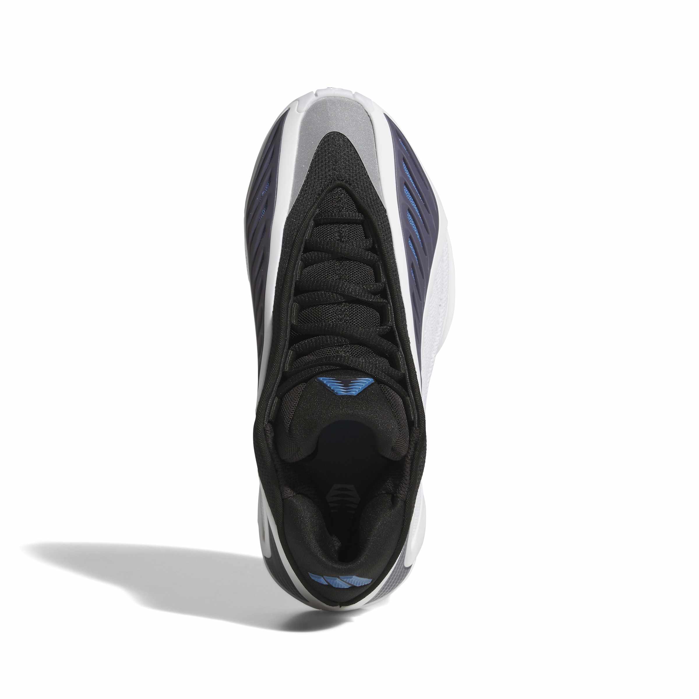 A.E. 2 Junior Alphadawg