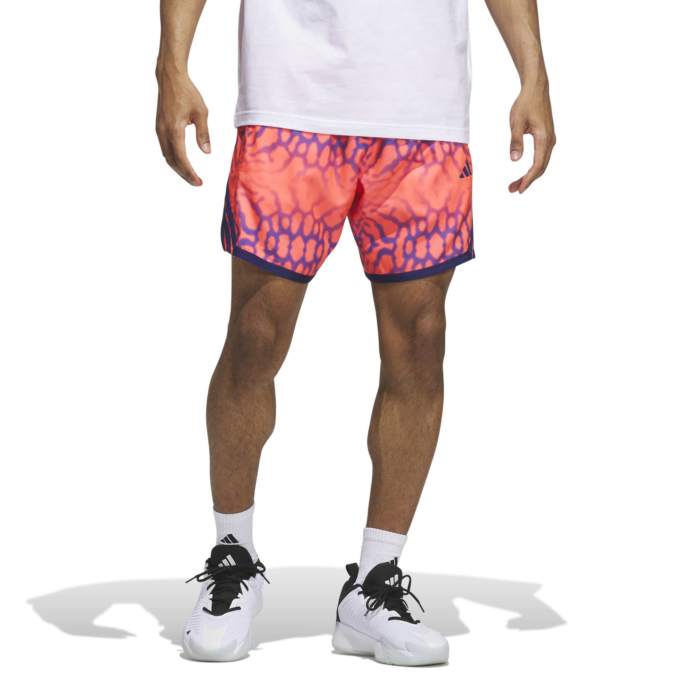 Crazy Lite Graphic Shorts Solar Turbo