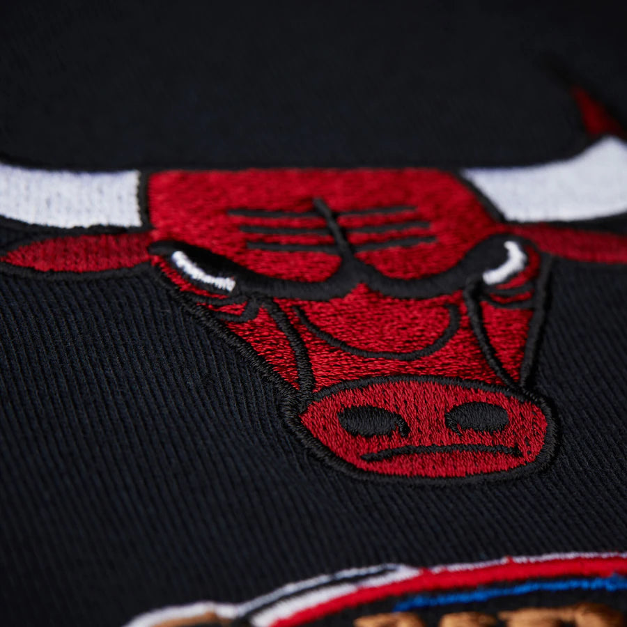 Blockbuster Player Tee Chicago Bulls