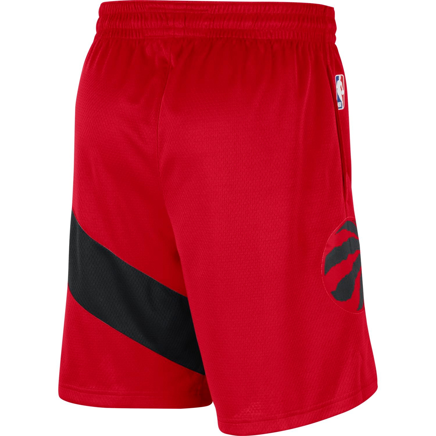 Toronto Raptors Icon Edition Swingman