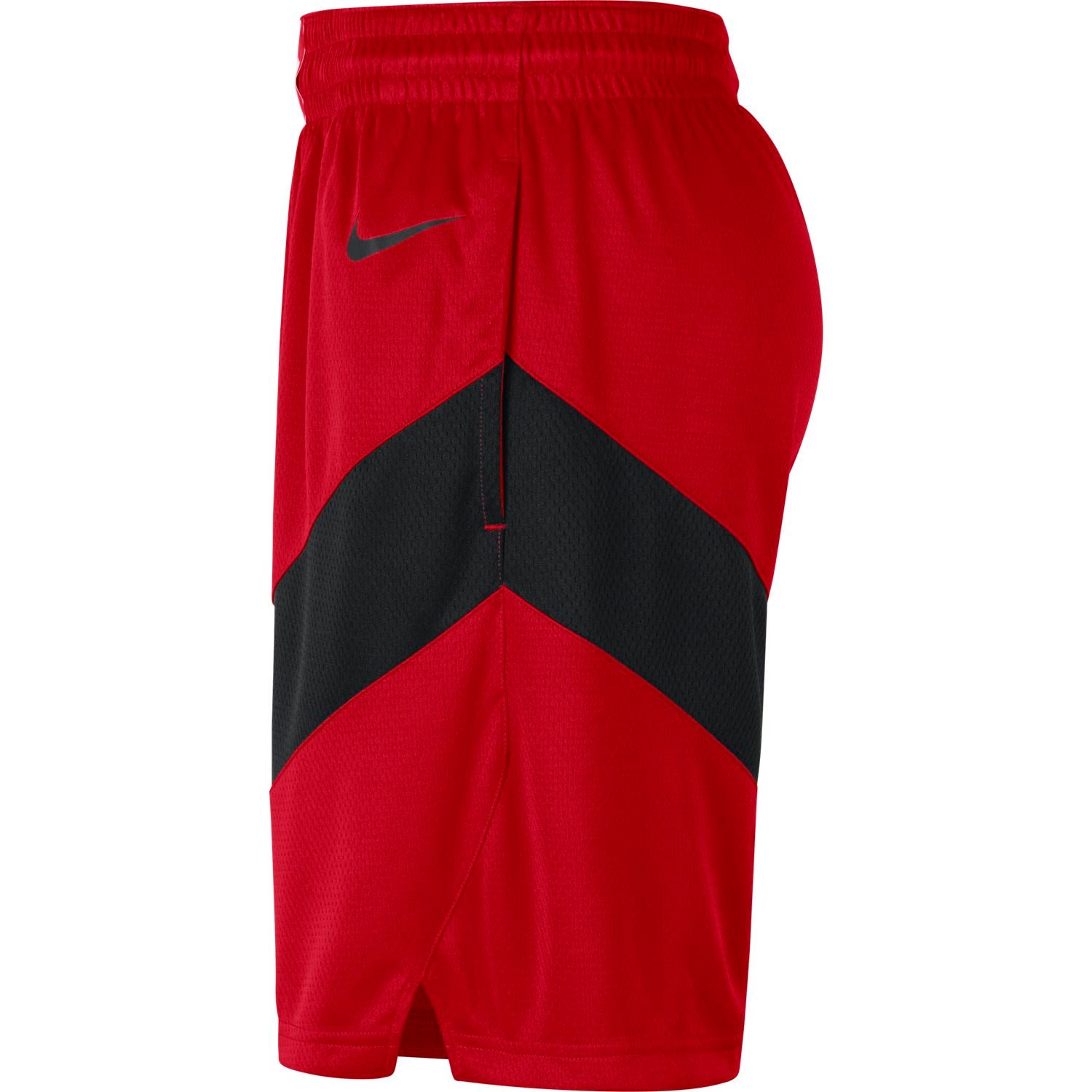 Toronto Raptors Icon Edition Swingman