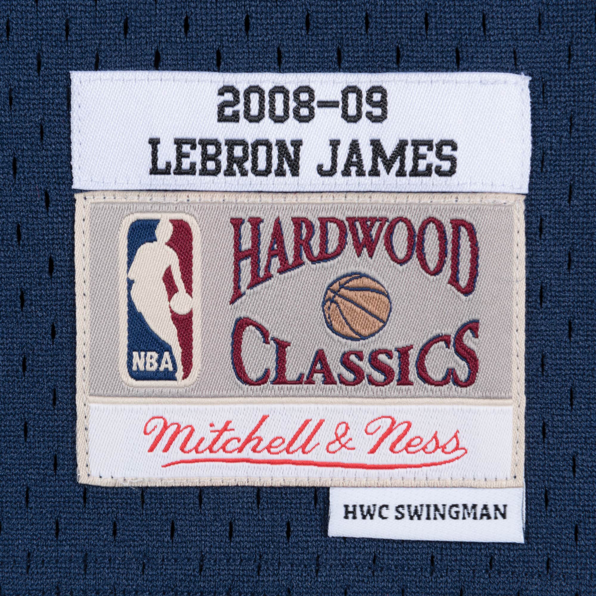 Swingman Jersey Alternate Cleveland Cavaliers 2008-09 LeBron James