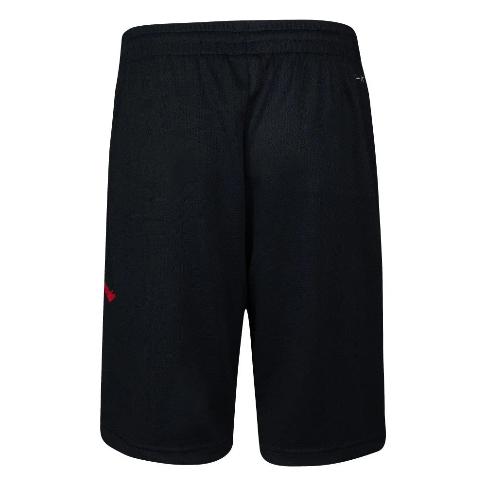 Air Jordan Shorts Junior
