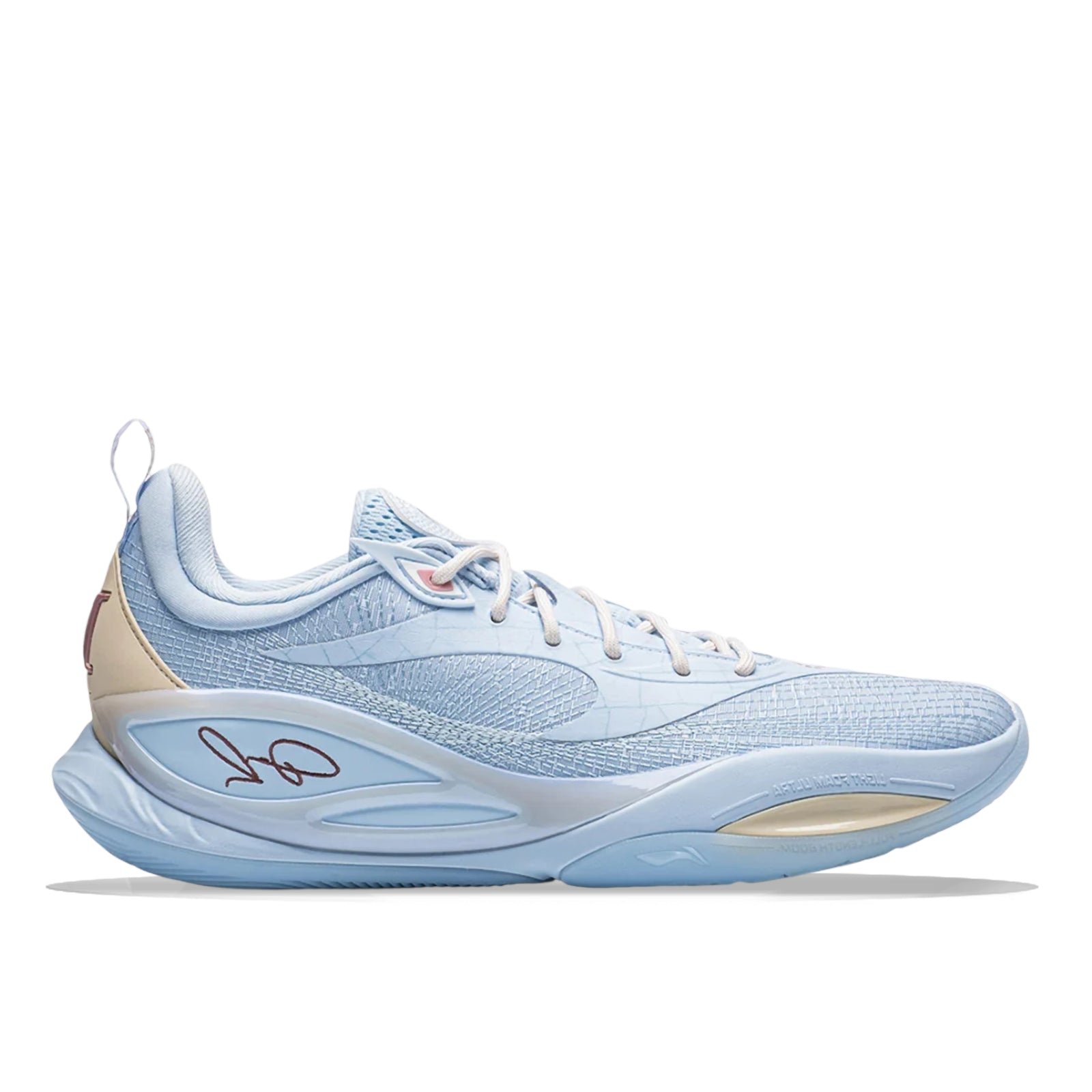 DLO 2 Ice Chips