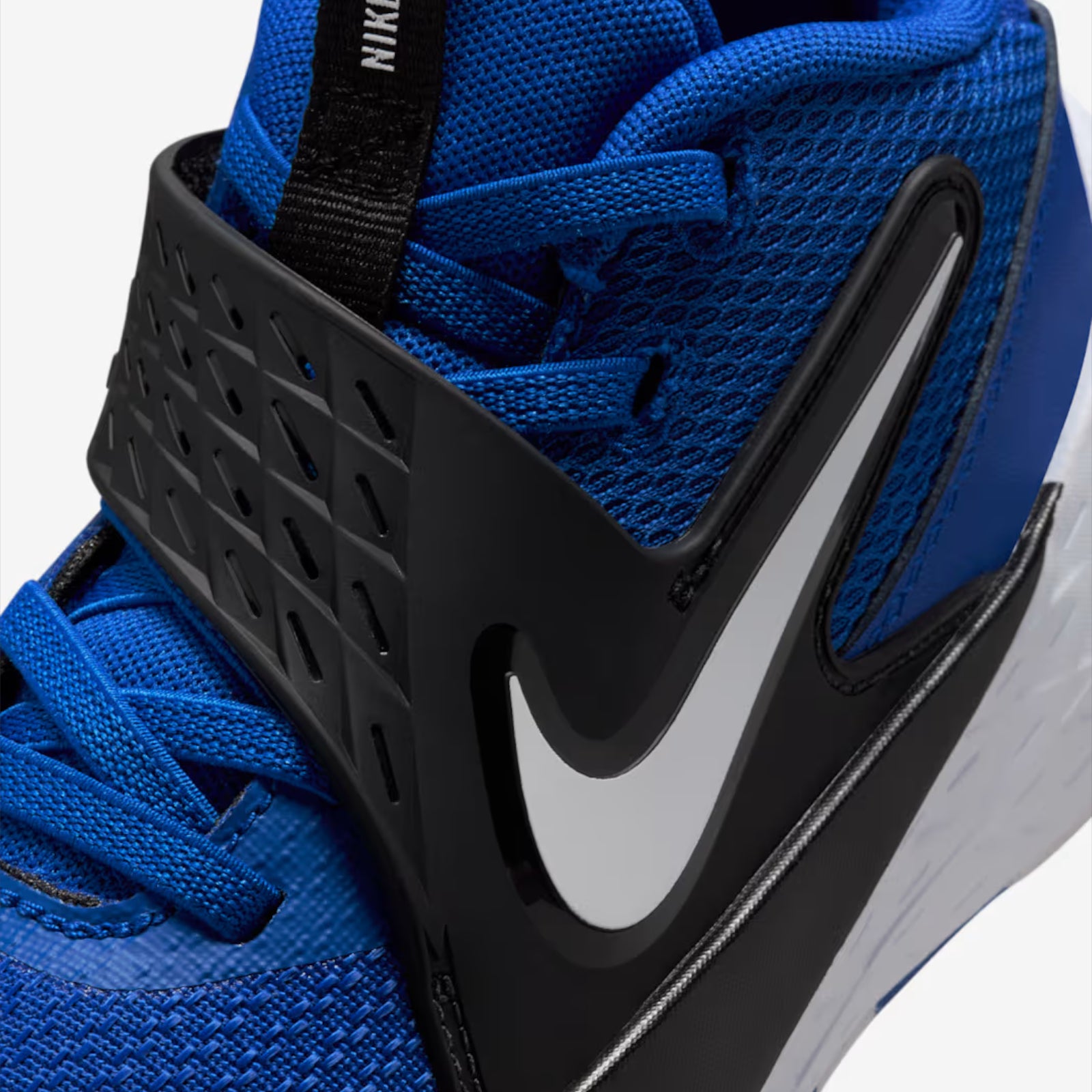 Team Hustle D 12 PS Game Royal