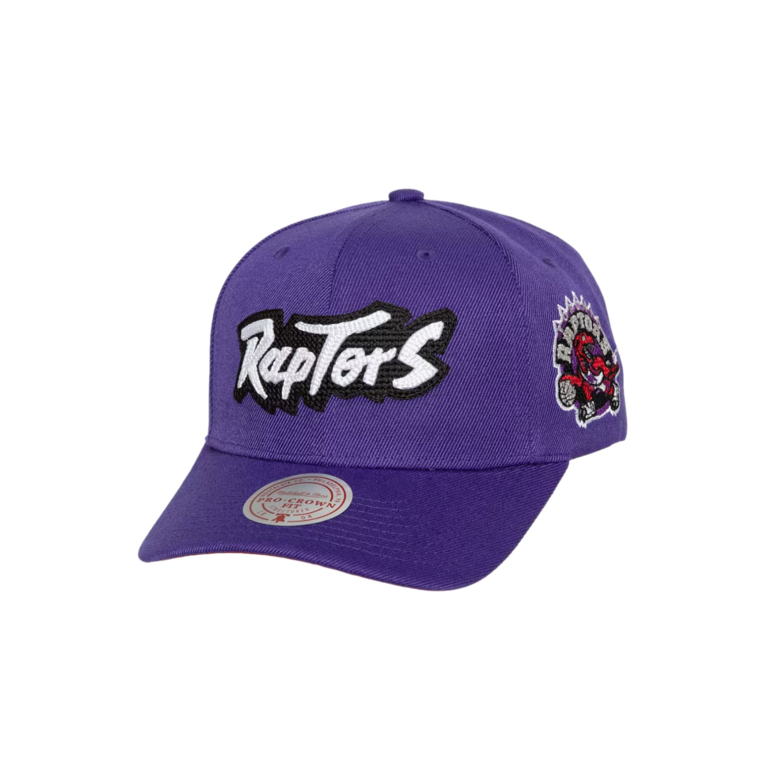 Silver Toronto Raptors Chain NBA Chain Gang Pro Snapback Toronto Raptors