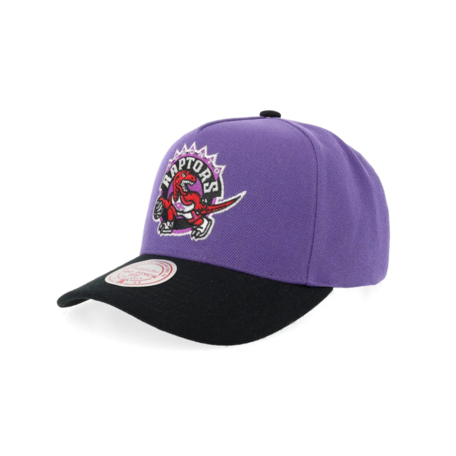 Team Colour Logo NBA Pro Crown Toronto Raptors