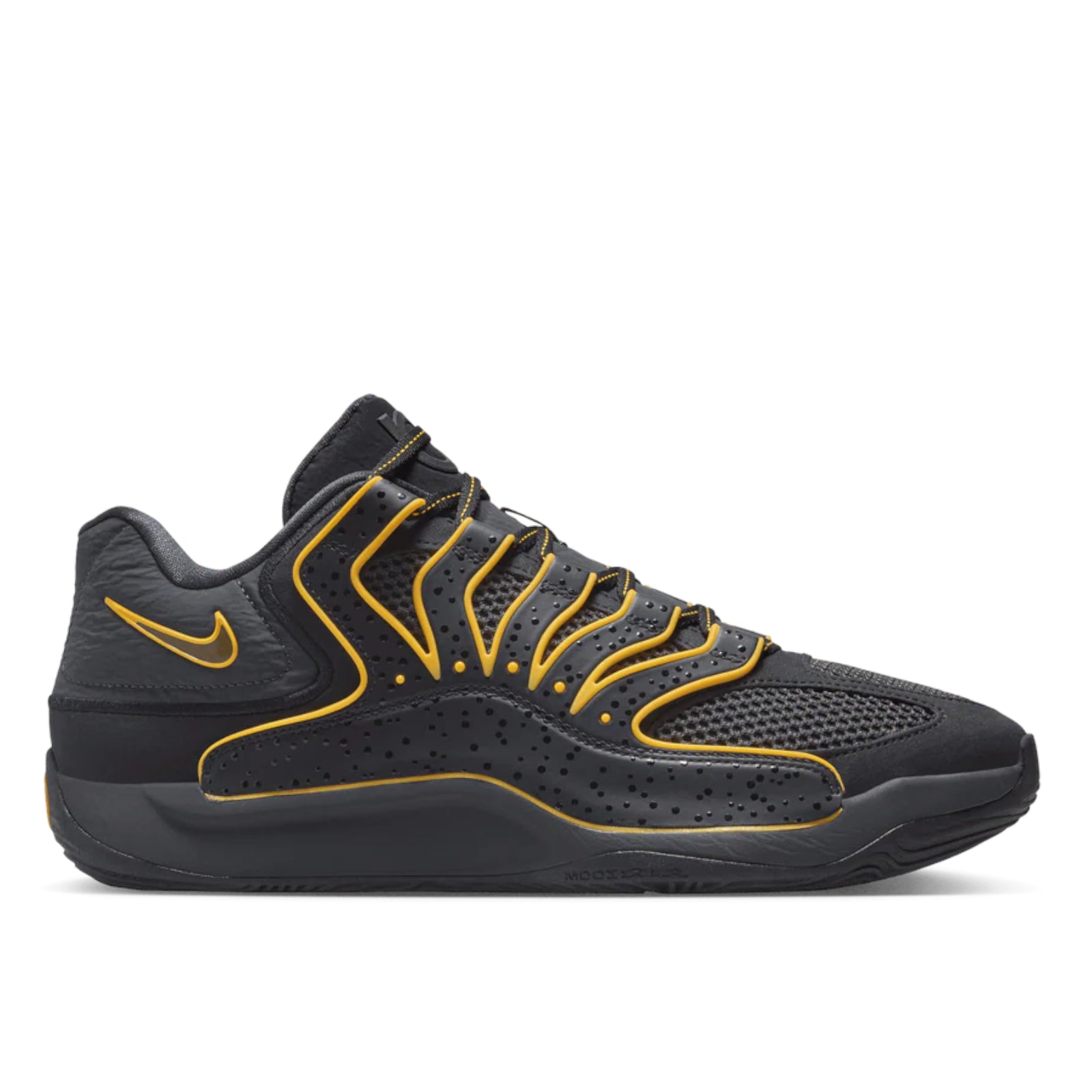 KD 18 New Dawn aka Rain City