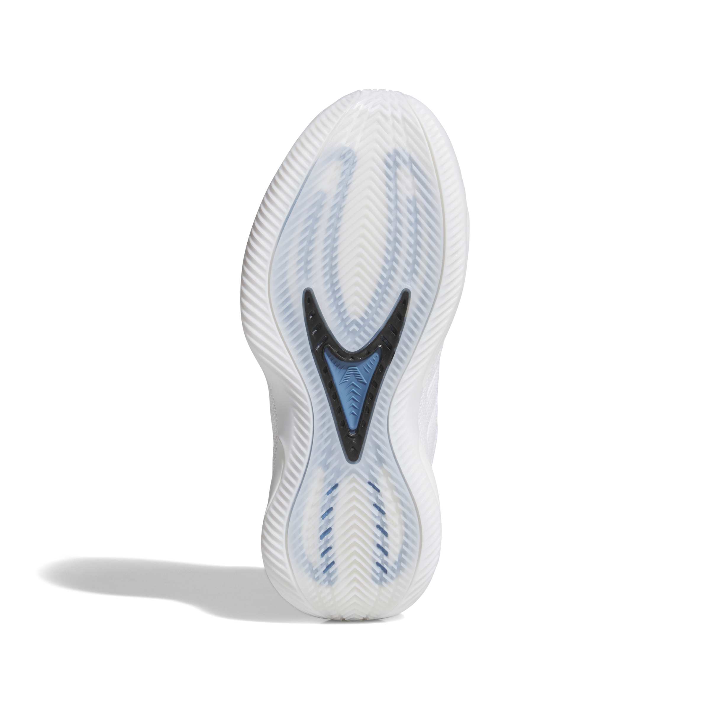 A.E. 2 Junior Alphadawg