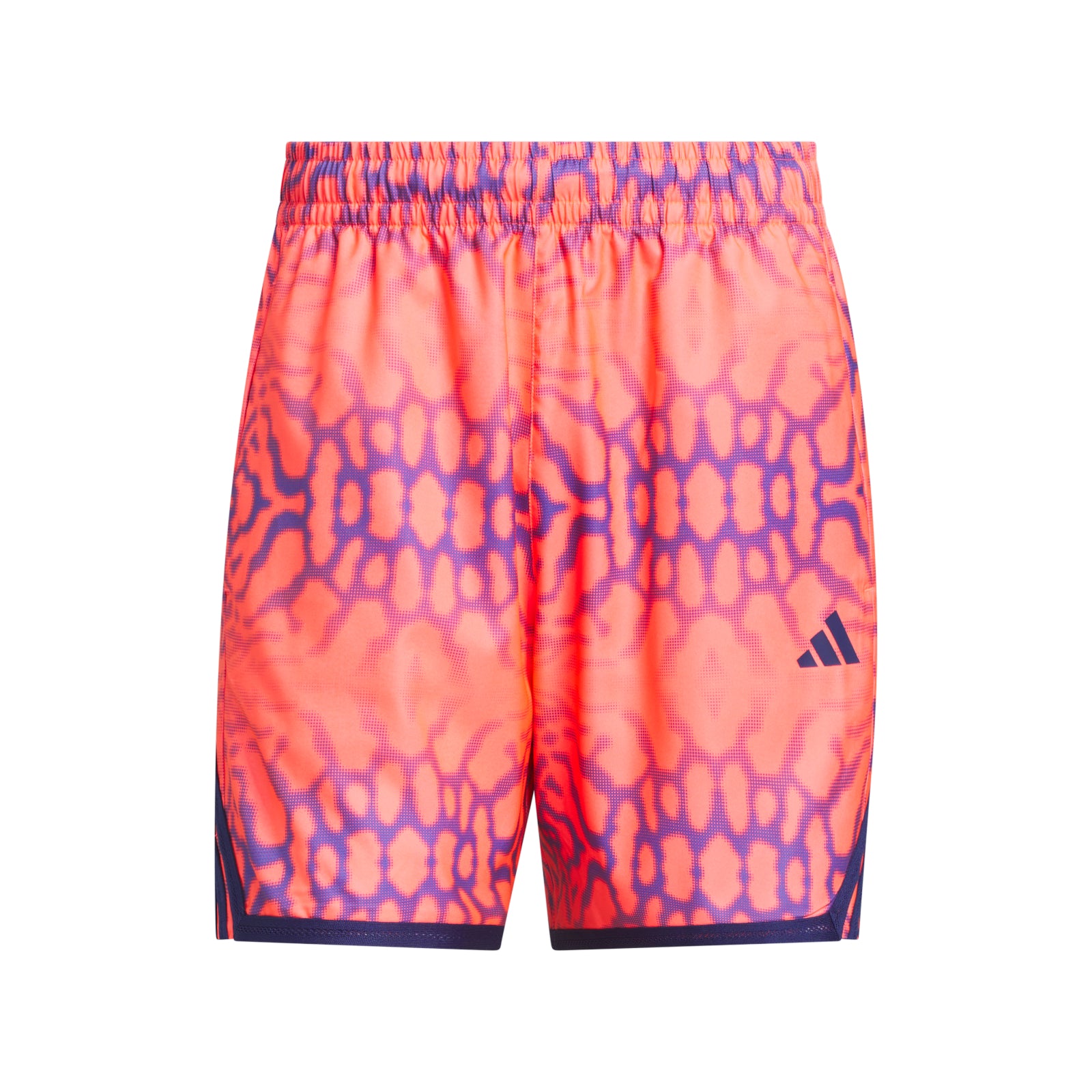 Crazy Lite Graphic Shorts Solar Turbo