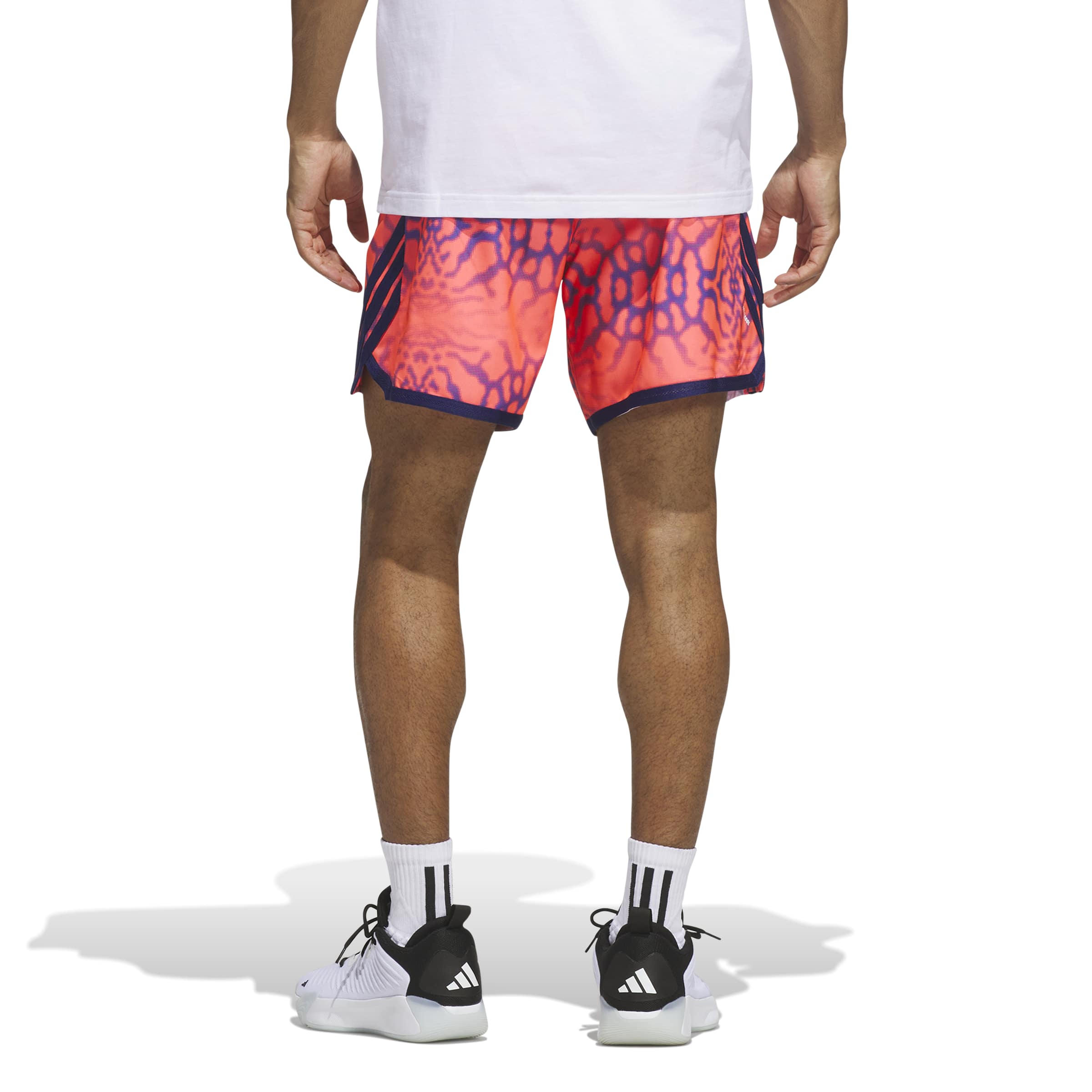 Crazy Lite Graphic Shorts Solar Turbo